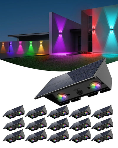 Seasonal Vibrant  light stakes